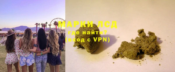 хмурый Абаза