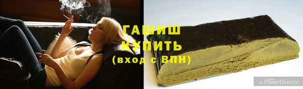 хмурый Абаза