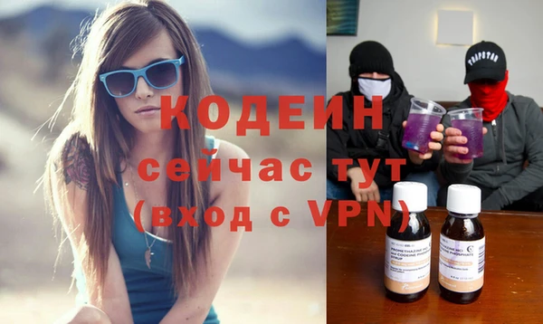 хмурый Абаза