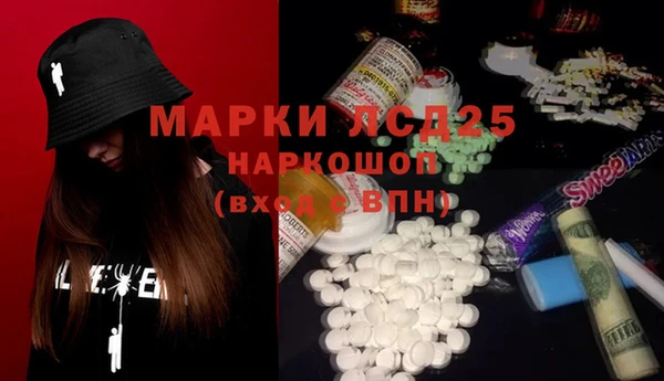 хмурый Абаза