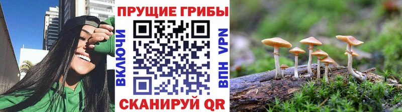 цена наркотик  ссылка на мегу зеркало  Галлюциногенные грибы Psilocybine cubensis  Сычёвка 