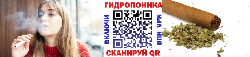 Марихуана OG Kush  магазин продажи   Сычёвка 